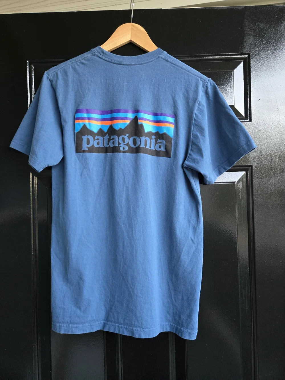 Patagonia Men’s Crew T-Shirt in Blue Size Small